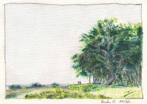 An der Ostsee beim Gut Oehe