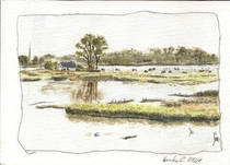 Zingster Strom, Kirr und Barther Oie